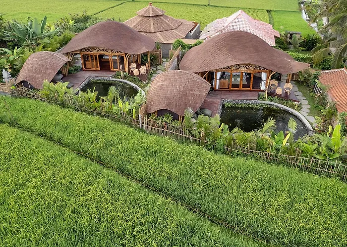 Arapan Eco *